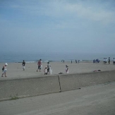beachclean2012_niigata1