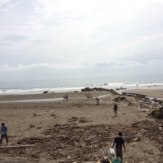 beachclean2014_hyogo