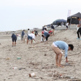 beachclean2014_saitamaminami