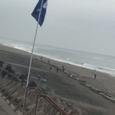 beachclean2014_shizuoka3