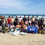 金浜海岸act_kanehama2017_0924